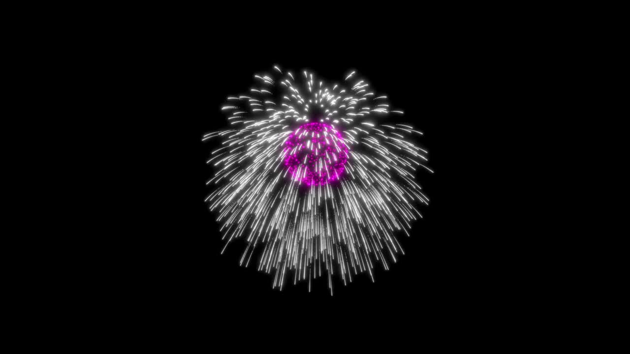 Holiday Fireworks 09