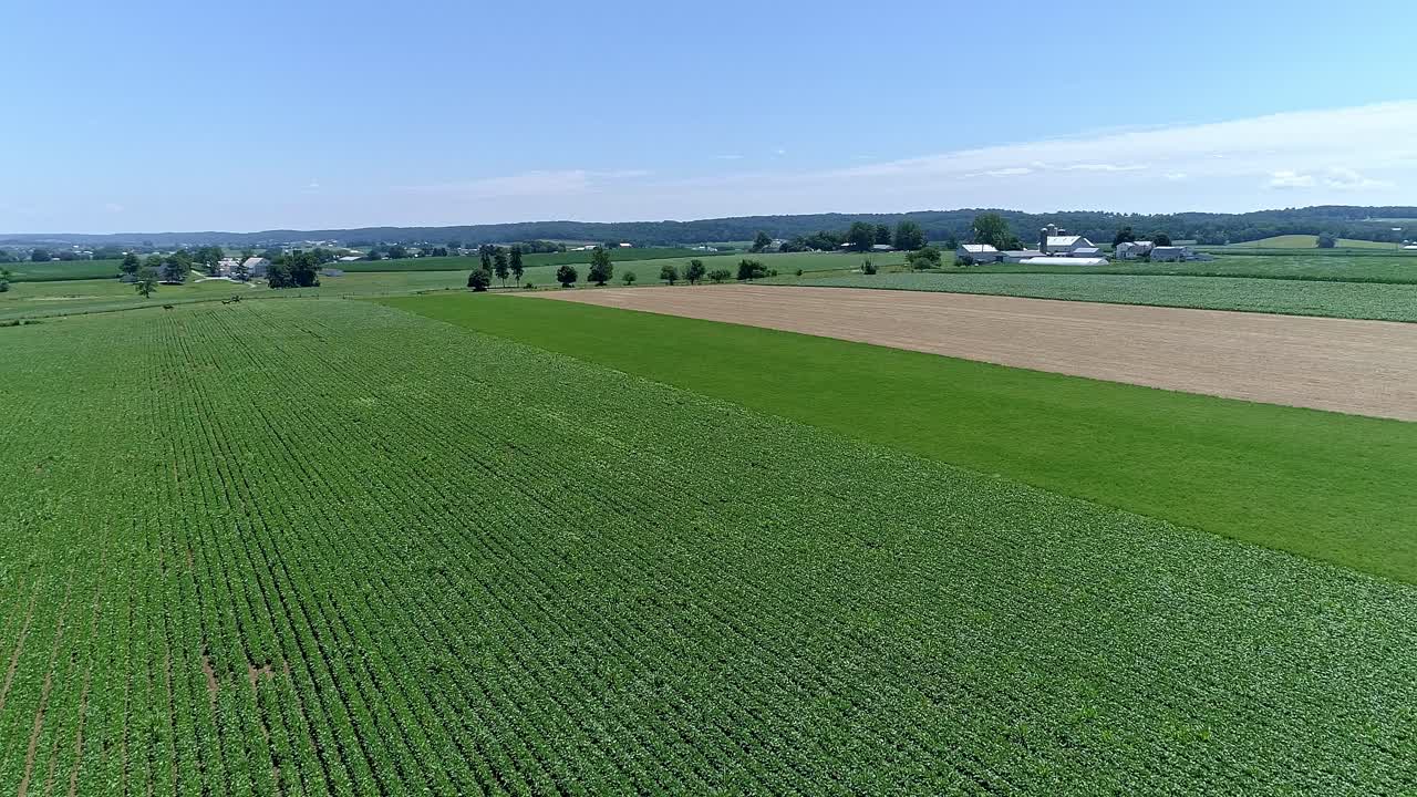 Explore the beautiful landscape of lush green fields stretching across the countryside on a sunny day. The vibrant farmland contrasts with the distant hills and clear blue sky.