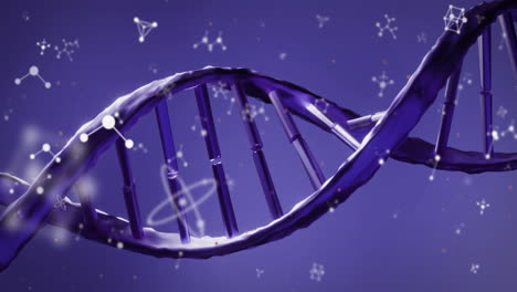 animation of dna strand with atomic symbols on purple background, scientific concept