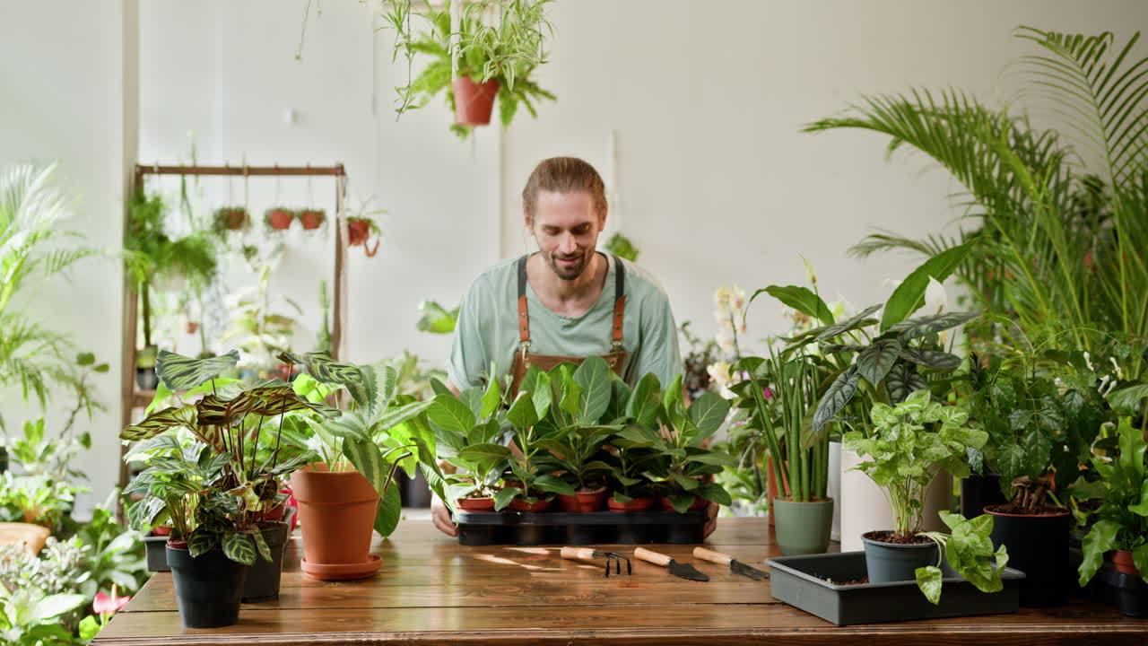 Interno di un negozio di piante, uomo che sistema le piante su un tavolo