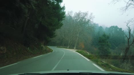 driving in forest road acrossing cedrus trees and beautiful nature , in atlas mountains, asphalt road , road to chrea national park - algeria