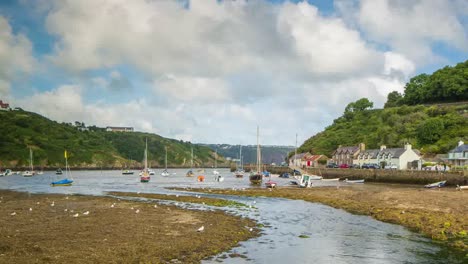 fishguard 4k 01