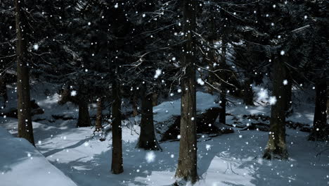 snowy winter forest at night