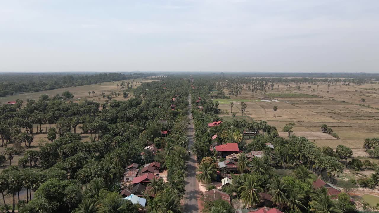 Jalan raya pedesaan melintasi hutan kelapa sawit dan sawah di Kamboja.