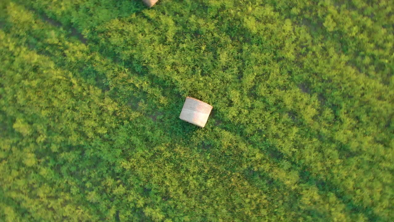 공중 드론 영상 태양이 지는 빛에서 잔디과 함께 초원