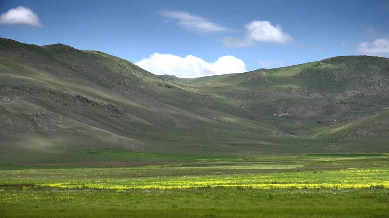 Dolci colline verdi e prato di fiori selvatici gialli sotto il cielo azzurro