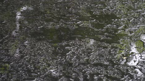 Rainfall-on-glass-table-top,-very-wet-surface,-slippery-counter,-raindrops