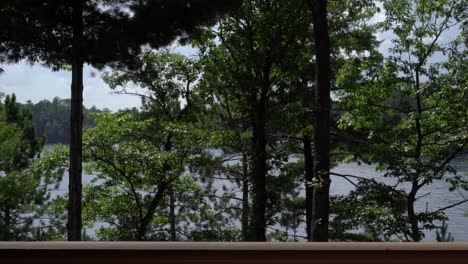 view of lake minocqua through trees from balcony (boat in the distance)
