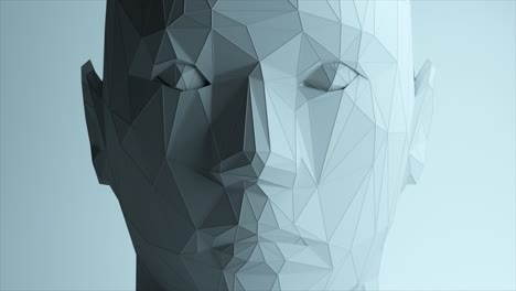 low poly 3d model of a woman's head