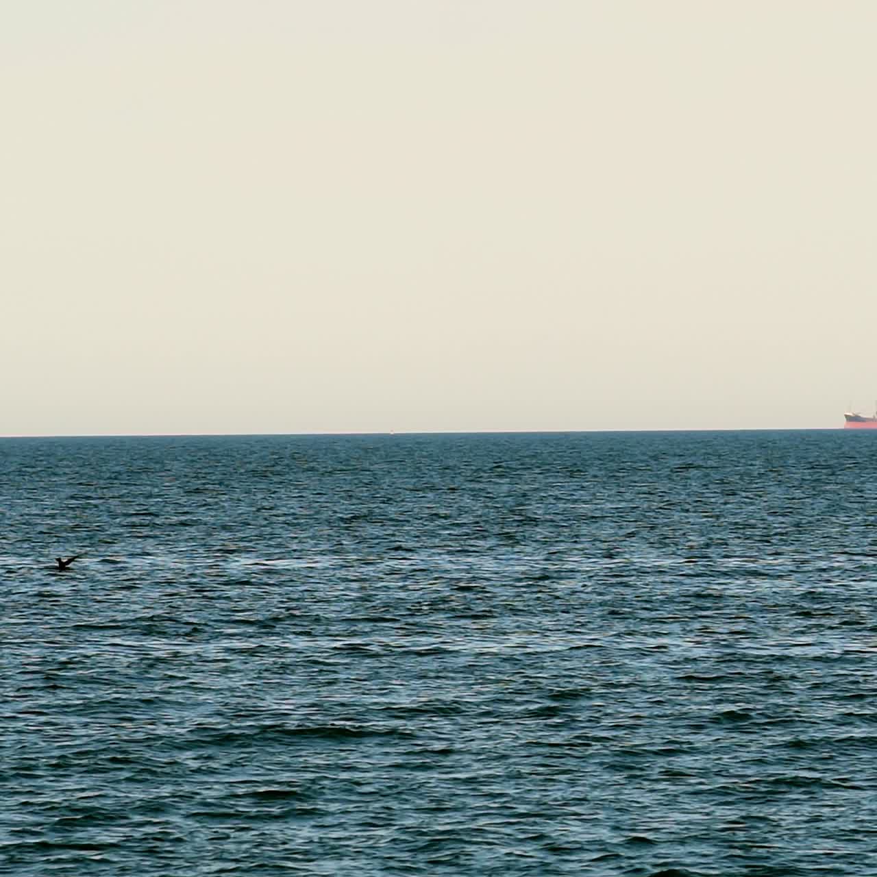 Endless blue water seascape