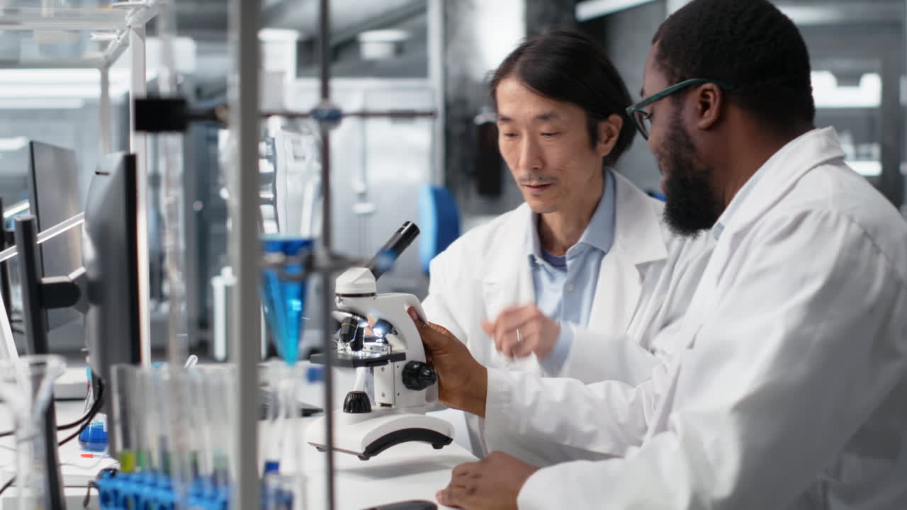 Vertical video Diagnostic laboratory colleagues using microscope