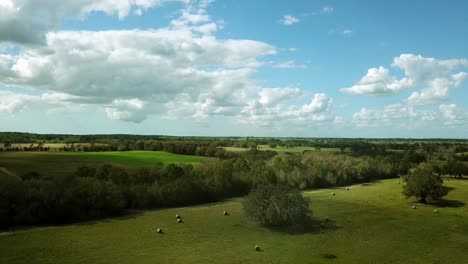 langsamer abstieg mit blick aus der vogelperspektive auf die landschaft floridas