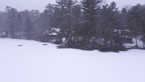 Heavy-Snow-Storm-In-The-Forest-On-A-Winter-Day---aerial-drone-panning-shot