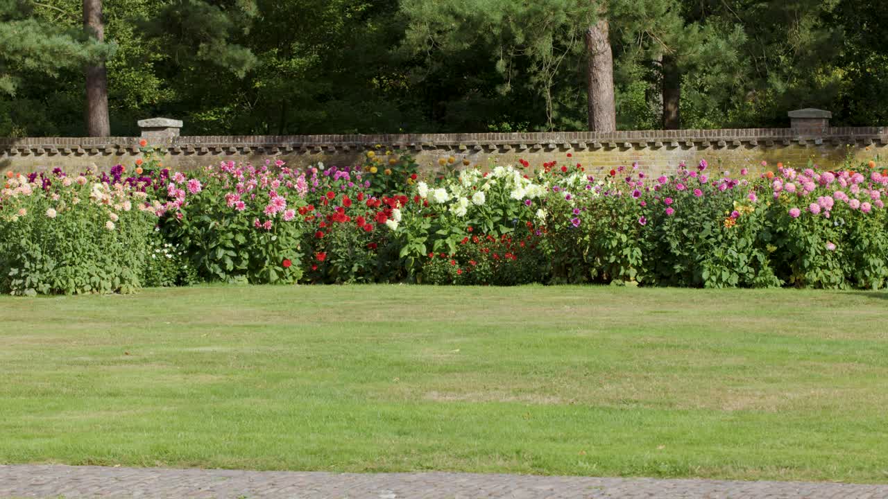 Camera pans across vibrant flower beds, green lawn, and decorative fence in natural daylight