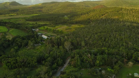 árboles densos en bosques verdes y montañas - parque nacional de conway en verano cerca de cedar creek en queensland, australia