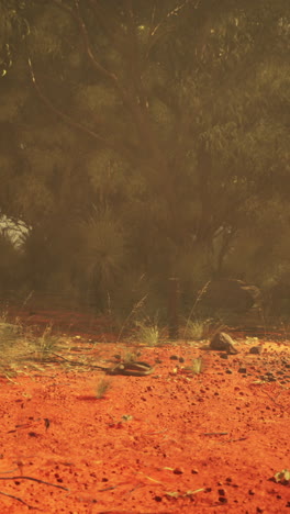 australian outback landscape in haze