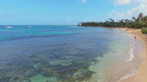 a stunning aerial view of playa punta popy beach with golden sands, turquoise waters and lush palm trees in dominican republic. aerial drone view perfect for tropical travel or tourism themes.