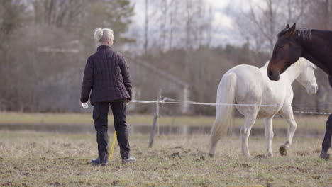 Woman-interacts-with-horses-in-enclosure-during-equine-assisted-therapy-session