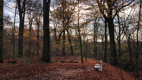 Blätter-Wehen-Im-Wind-An-Einem-Herbsttag