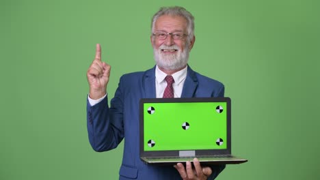 handsome senior bearded businessman against green background