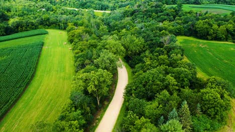 Experimente-La-Belleza-Escénica-De-La-Campiña-Inglesa-Desde-Arriba,-Mientras-Nuestro-Dron-Captura-Un-Camino-Sinuoso-Que-Serpentea-Entre-Campos-Exuberantes-Y-Dorados.