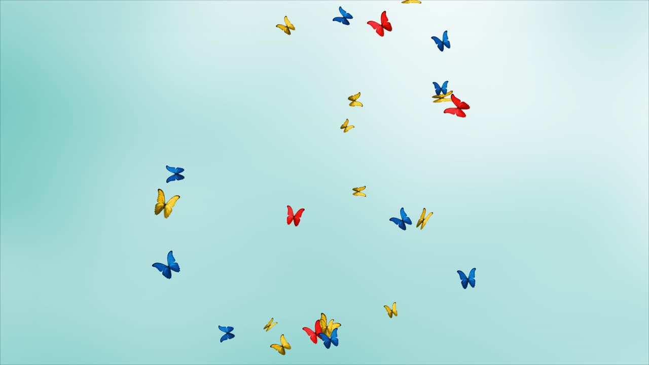 Glowing swarm of colorful butterflies flying over green screen background transition overlay intro