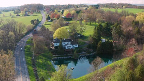 Aerial-of-beautiful-leaves-and-foliage