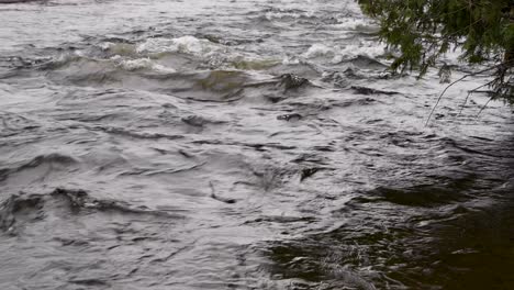 mountain river flowing in fall