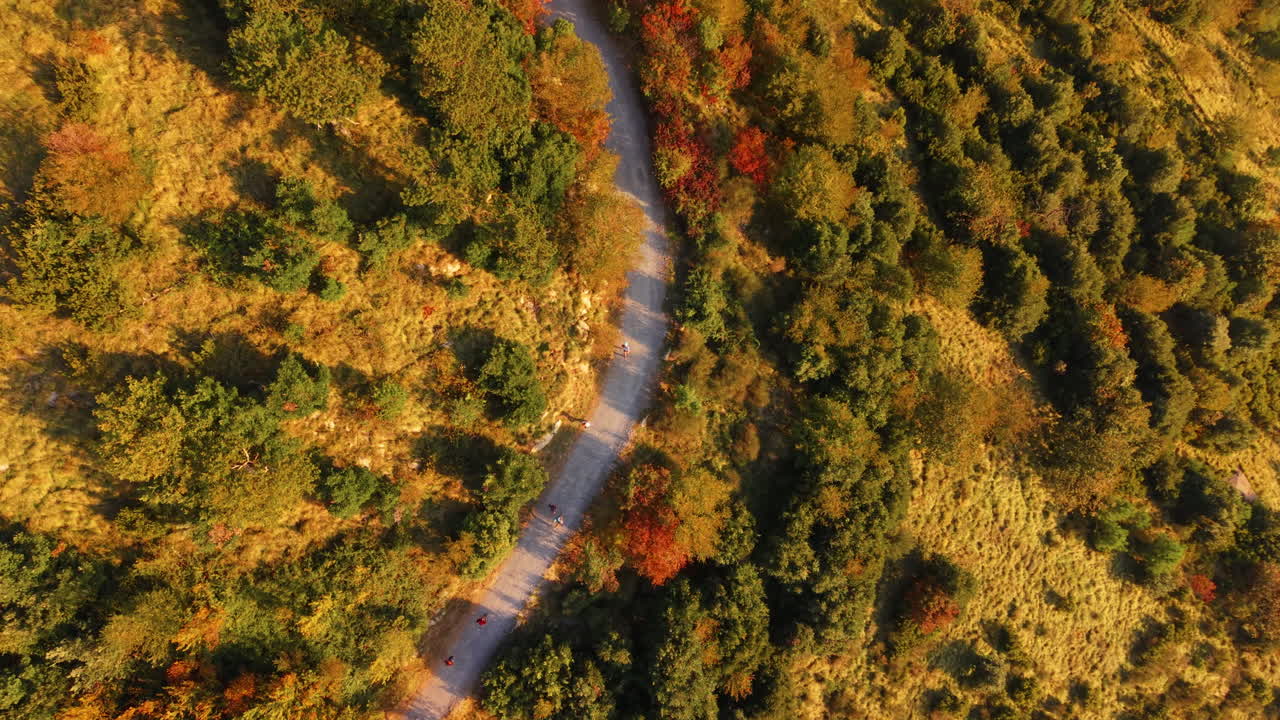 Dynamic Aerial Trail Runners Autumn Forest Path Genoa Italy Drone