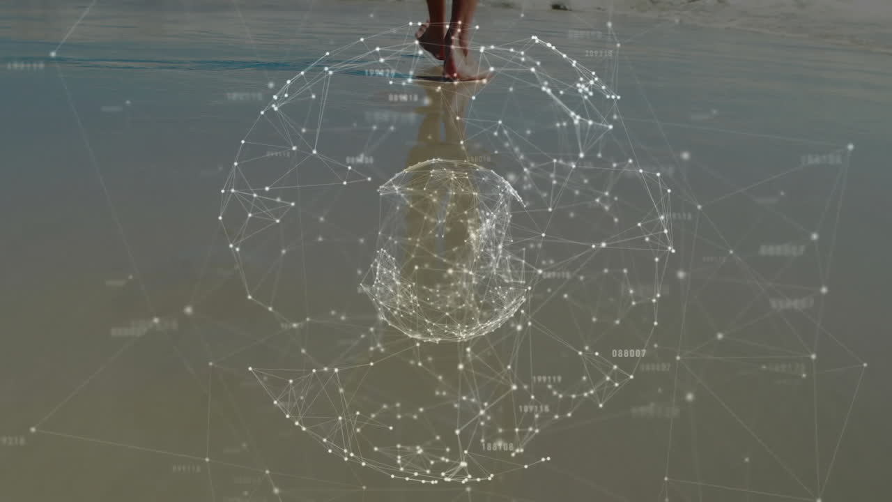 Network of connections and data processing animation over person standing on beach