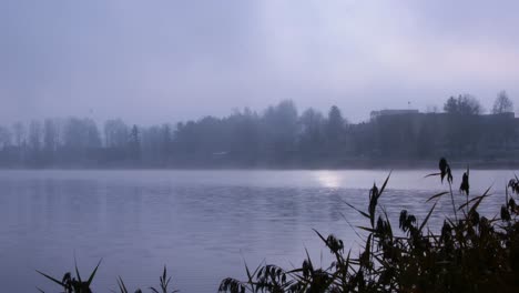 Niebla-Y-Amanecer-Sobre-El-Río-Y-Juncos-En-La-Mañana-De-Otoño