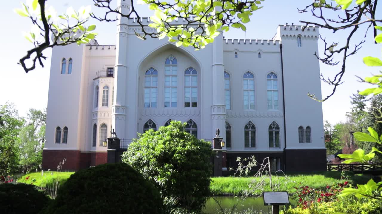 Blooming magnolia flower at Kórnik castle gardens in western Poland. Sunny weather on spring season.