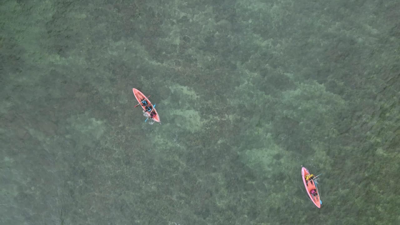 disparo de avión no tripulado de arriba hacia abajo de personas en kayak directamente en la playa