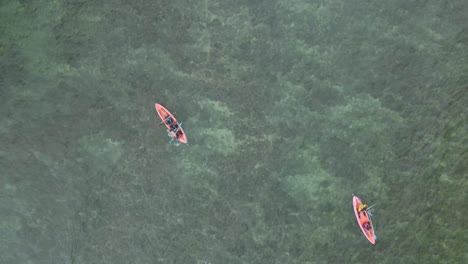 Toma-Directa-De-Arriba-Hacia-Abajo-Con-Drones-De-Personas-En-Kayak-En-La-Playa