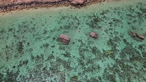 Aerial View of Turquoise Tropical Ocean with Coral Reef and Swimmer