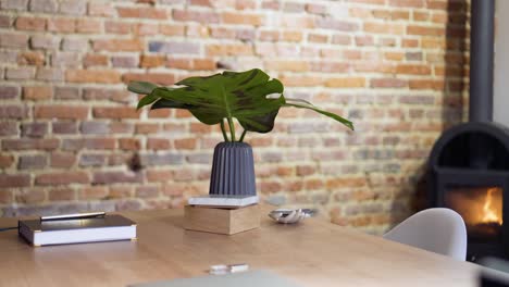 green flower leaws at the office desk slide slow motion