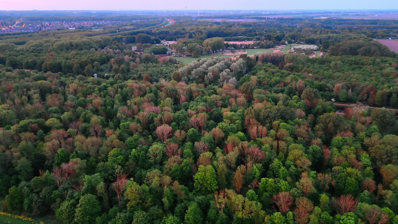 Flight over the large forest crossed by the highway. City switching on the lights at backdrop in sunset time.