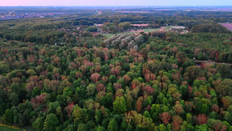 flight over the large forest crossed by the highway. city switching on the lights at backdrop in sunset time.