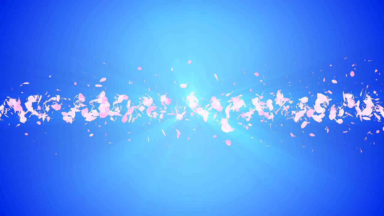꽃의 나선형 반이는 입자, 사쿠라 패턴, 일본의 꽃 춤, 분홍색 꽃잎의 소용돌이, 추상적인 루프 애니메이션.
