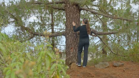 joven excursionista morena tomando energía del árbol, vista trasera