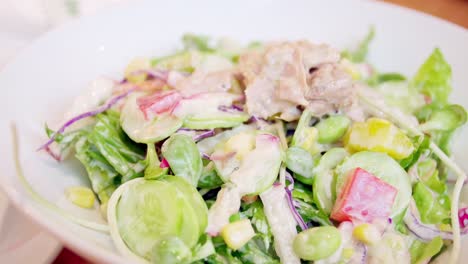 Thunfischkonserven-Mit-Gemüsesalat