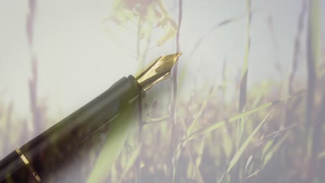 Animation-of-grass-over-pen