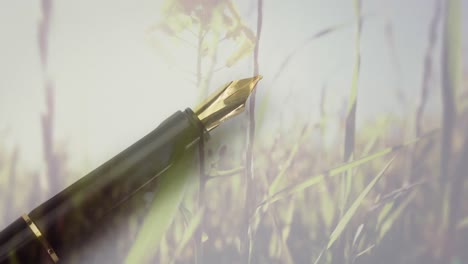 Animation-Von-Gras-über-Stift