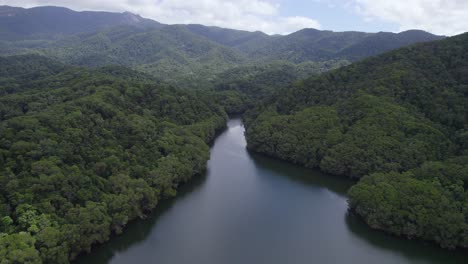 lago morris - embalse de agua dulce en cairns, norte de queensland, australia - toma aérea de drones