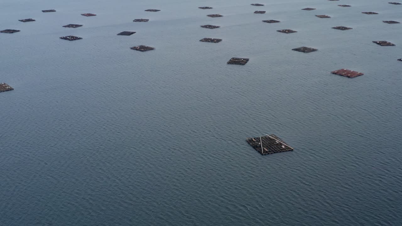 조개 수확 바테아의 넓은 공중 뷰, 아래로 기울어