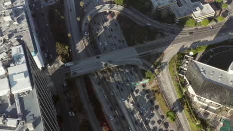 Vista-Aérea-De-Pájaros-Vista-De-Arriba-Hacia-Abajo-Del-Tráfico-De-La-Intersección-Con-Palmeras-Y-Al-Lado-Del-Centro-De-Los-ángeles,-California-Mirando-Hacia-Abajo