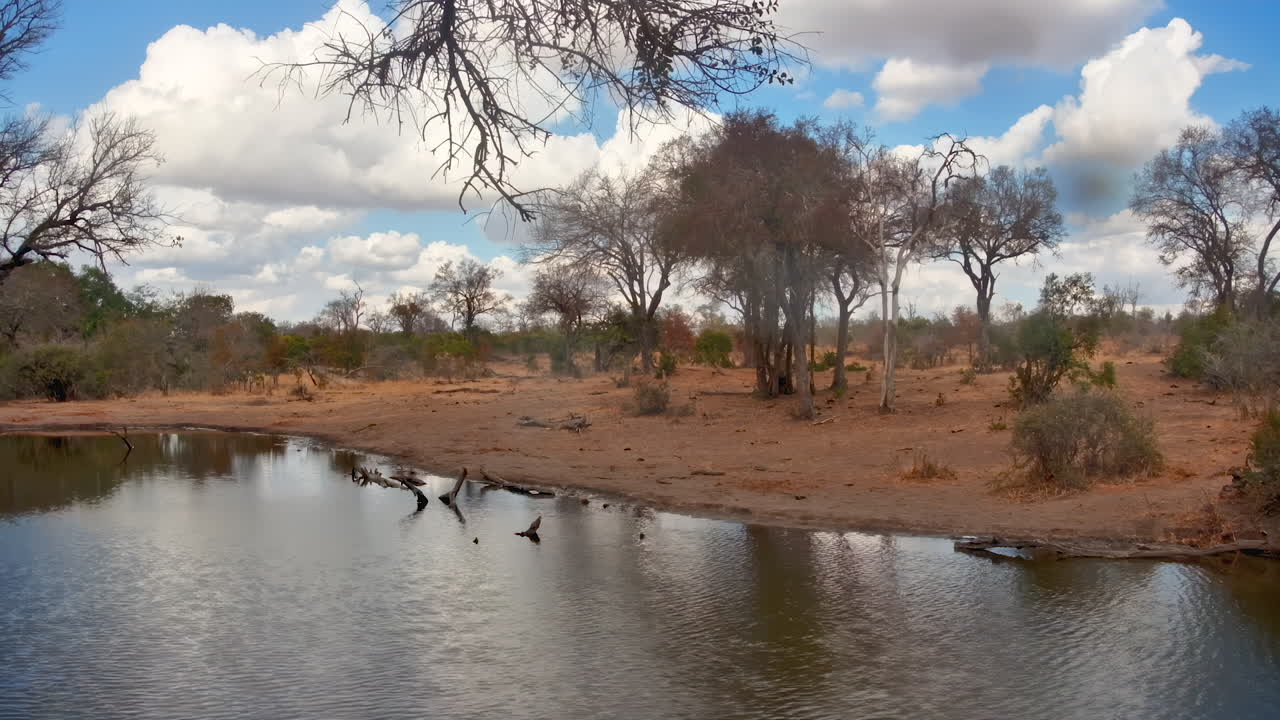 Um timelapse de um bebedouro tranquilo refletindo um céu nublado na savana africana do Bushveld