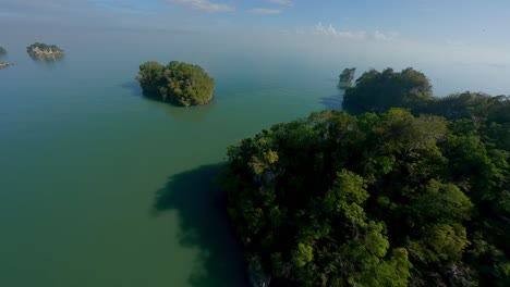 Dynamic-drone-flight-above-bush-and-plants-growing-on-rocky-islands-during-sunny-day