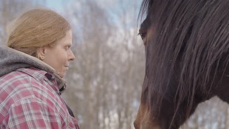 fuerte conexión entre el caballo y el participante durante la sesión de terapia equina