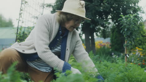 elderly woman tending to her garden
